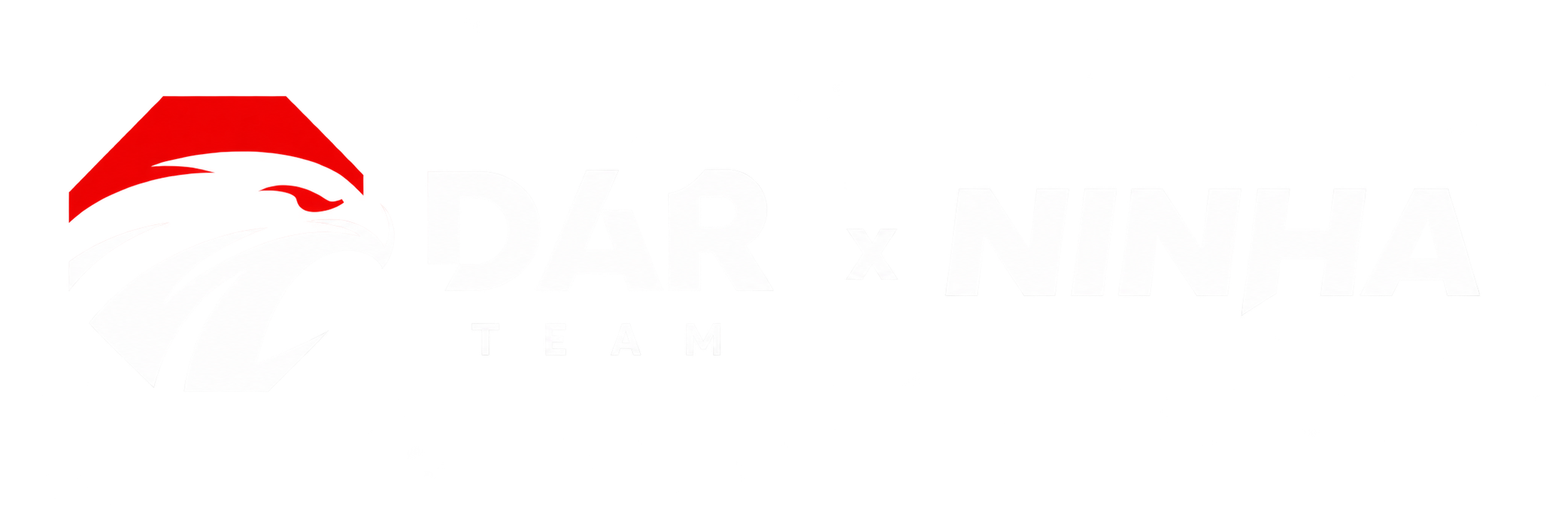 DAR TEAM, équipe professionnelle de MMA au Kazakhstan